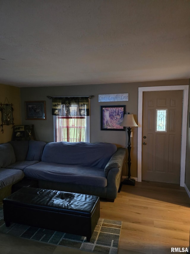 717 NE 2nd St, Galva, IL 61434 - living area featuring light wood-type flooring and baseboards