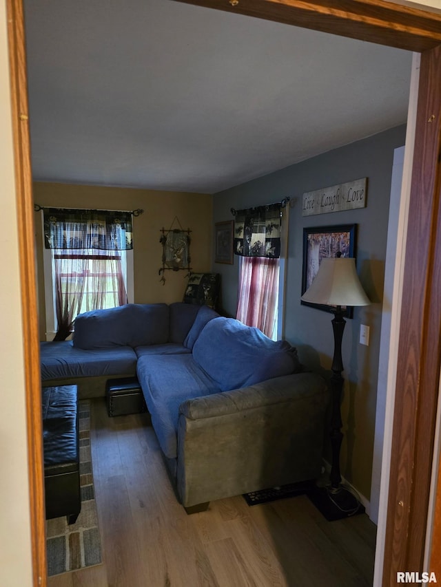 717 NE 2nd St, Galva, IL 61434 - living room featuring wood finished floors