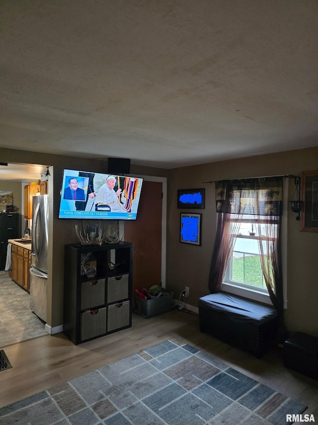 717 NE 2nd St, Galva, IL 61434 - living area featuring light wood-style floors