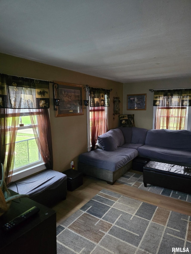 717 NE 2nd St, Galva, IL 61434 - living area with plenty of natural light and wood finished floors