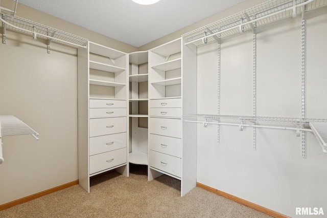 spacious closet featuring light carpet
