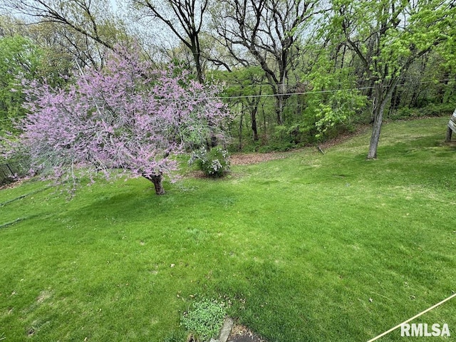 4528 5th St Unit B, East Moline, IL 61244 - view of grassy yard