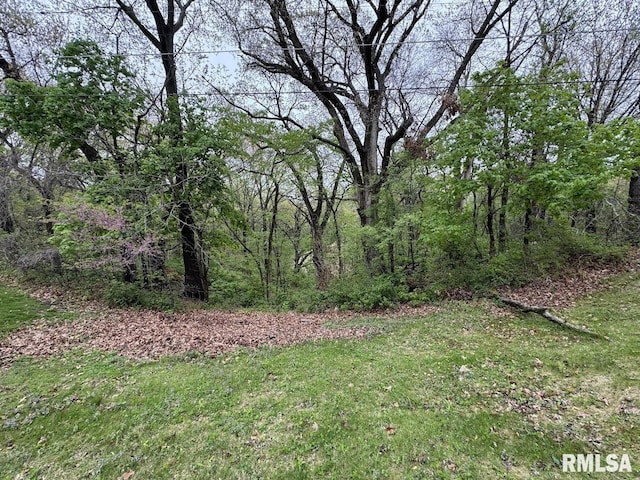 4528 5th St Unit B, East Moline, IL 61244 - view of yard with a view of trees