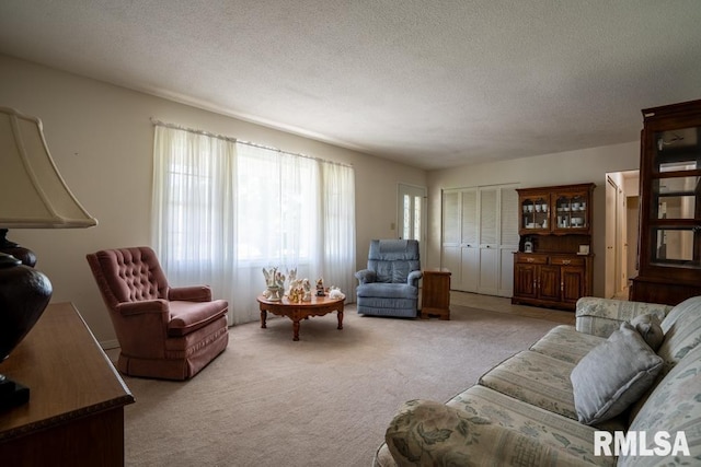 living room with a textured ceiling and light colored carpet