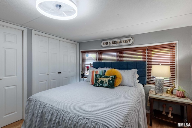 208 E Alexander St, Energy, IL 62933 - bedroom featuring wood finished floors and a closet