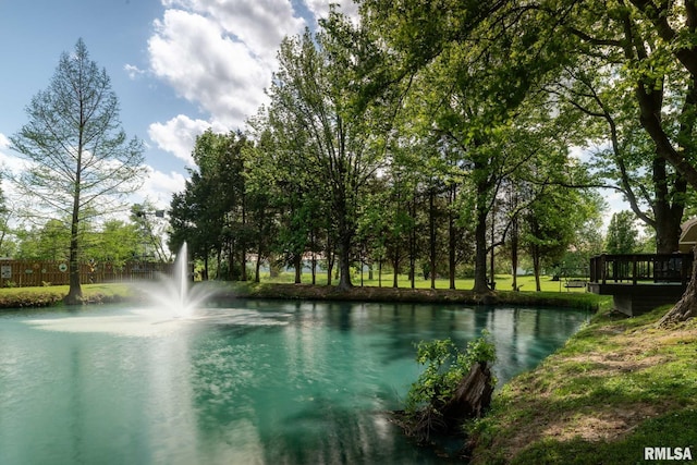 208 E Alexander St, Energy, IL 62933 - water view