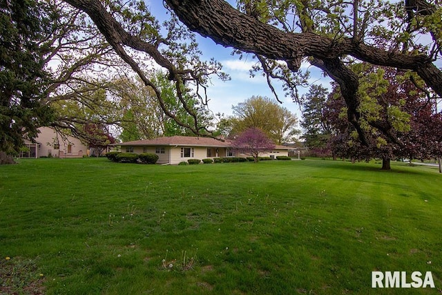 view of yard