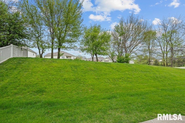 view of yard