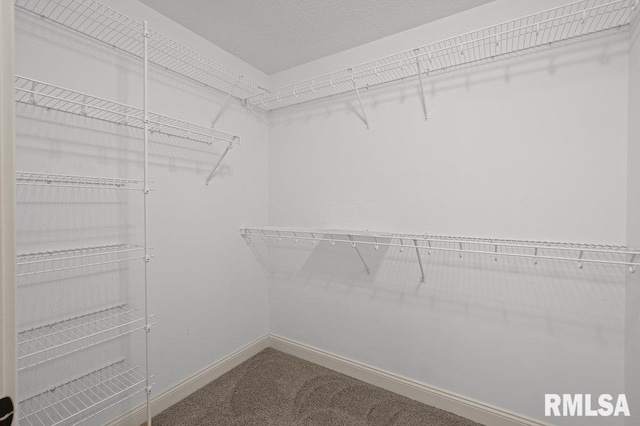 spacious closet with carpet floors