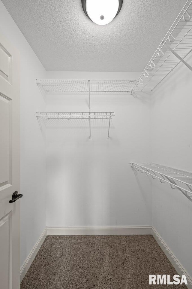 spacious closet with carpet flooring