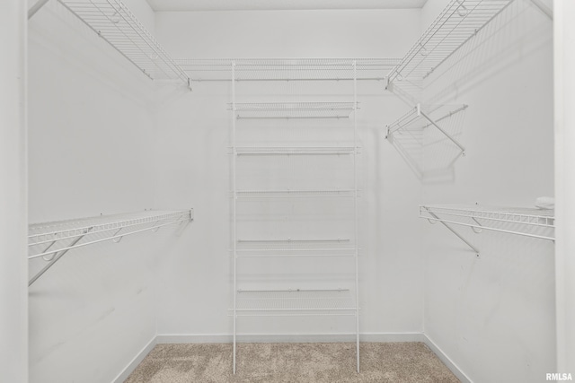 17 Blackstone Way, Le Claire, IA 52753 - walk in closet featuring carpet floors