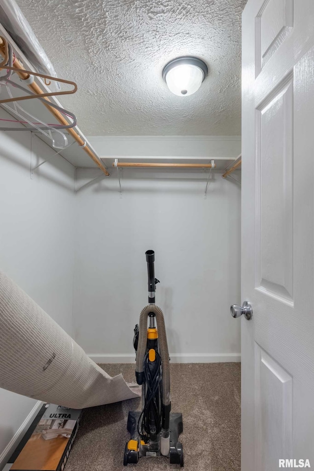 301 N 11th St, Herrin, IL 62948 - spacious closet with carpet