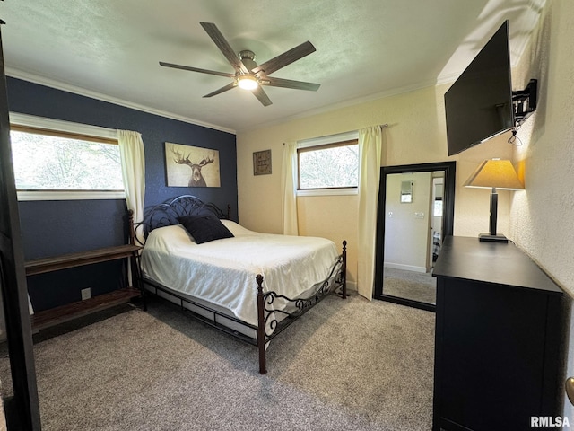 carpeted bedroom featuring crown molding, a textured wall, ceiling fan, and baseboards