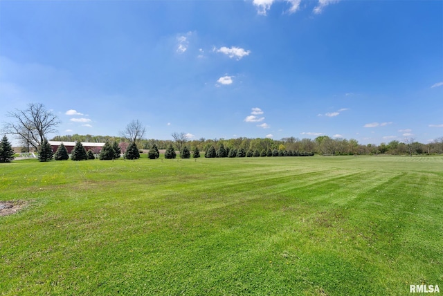 8989 241st St, Walcott, IA 52773 - photo 5
