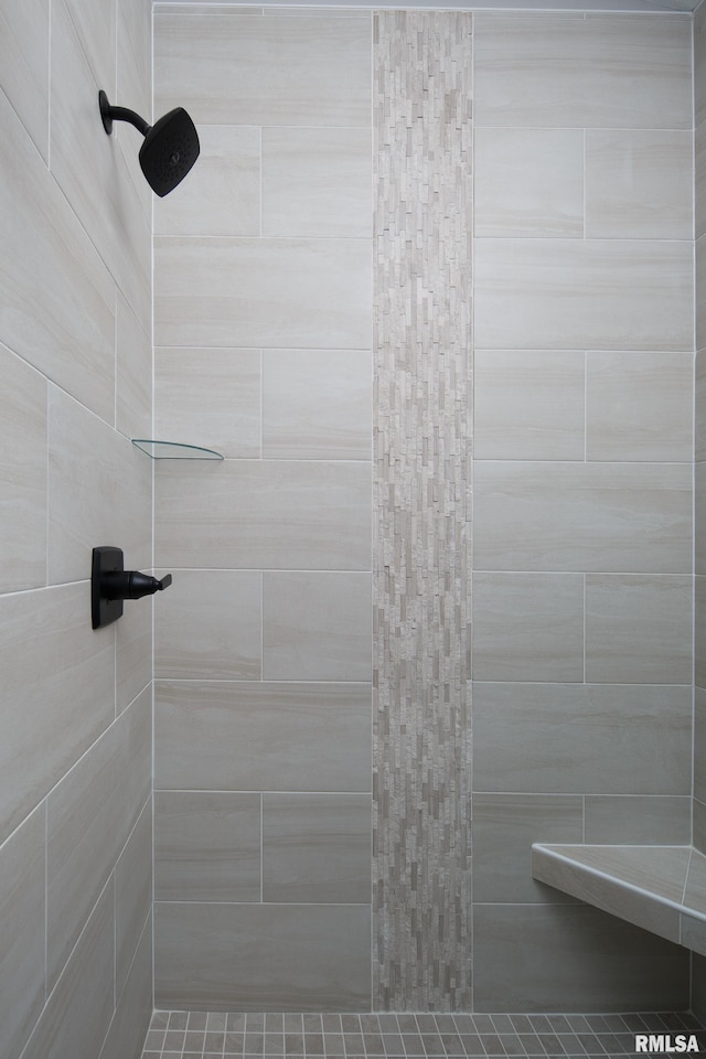 7 Welcome Center Ct, Le Claire, IA 52753 - full bath with tiled shower