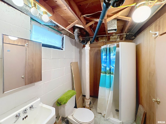 bathroom with a stall shower and toilet