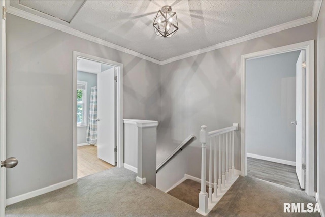 4690 Lindbergh Dr, Bettendorf, IA 52722 - staircase featuring carpet floors, ornamental molding, a textured ceiling, and baseboards