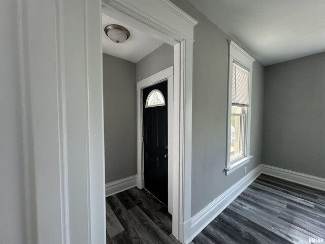 foyer with dark wood-style flooring, plenty of natural light, and baseboards