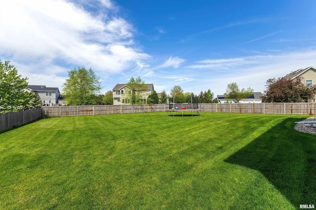 view of yard featuring a trampoline