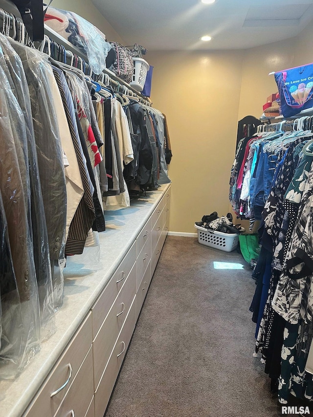 walk in closet featuring carpet flooring