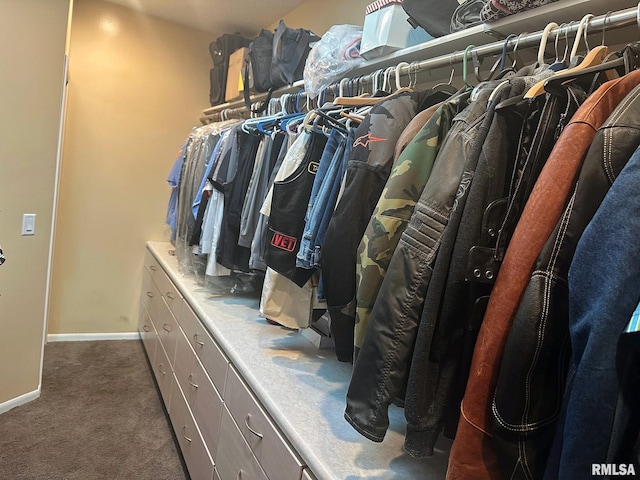 spacious closet featuring carpet