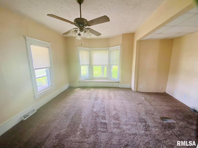 1202 17th Ave, Viola, IL 61486 - spare room with carpet floors and ceiling fan