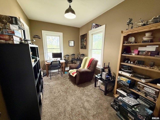 101 S Stewart St, Geneseo, IL 61254 - home office with carpet flooring