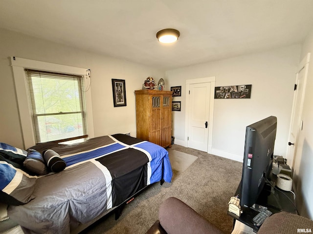 101 S Stewart St, Geneseo, IL 61254 - carpeted bedroom with baseboards