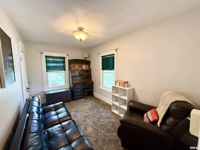 101 S Stewart St, Geneseo, IL 61254 - view of carpeted living room