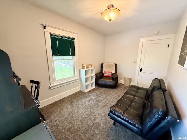101 S Stewart St, Geneseo, IL 61254 - living area featuring carpet and baseboards