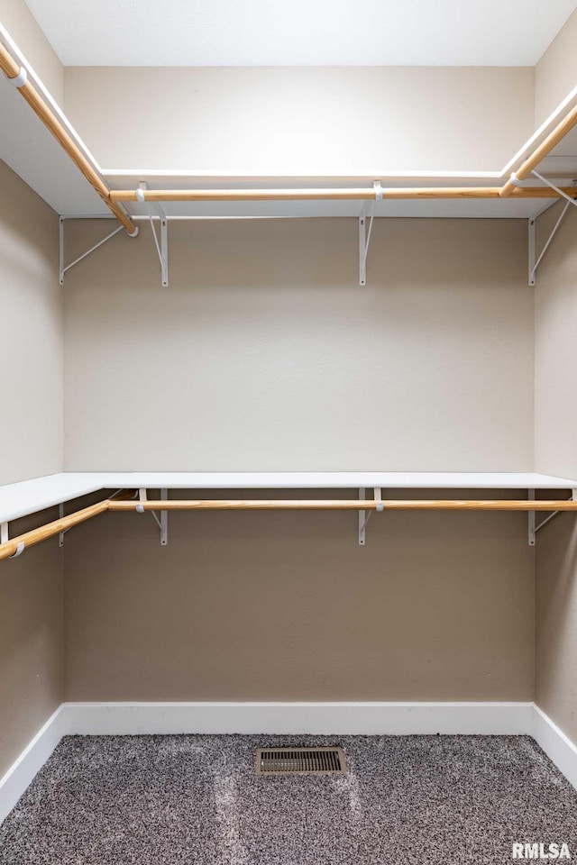3972 Baptist Camp Rd, Carterville, IL 62918 - walk in closet with carpet