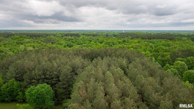 3972 Baptist Camp Rd, Carterville, IL 62918 - drone / aerial view of a heavily wooded area