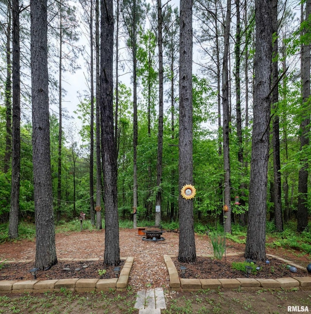 3972 Baptist Camp Rd, Carterville, IL 62918 - view of yard featuring a fire pit