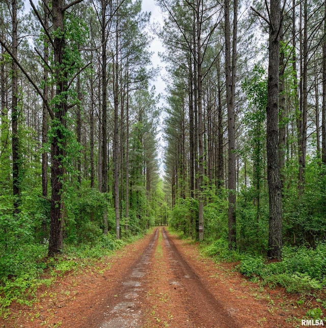 3972 Baptist Camp Rd, Carterville, IL 62918 - view of dirt / gravel road featuring a view of trees
