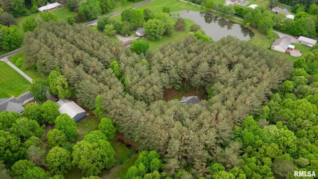 3972 Baptist Camp Rd, Carterville, IL 62918 - bird's eye view of a large body of water