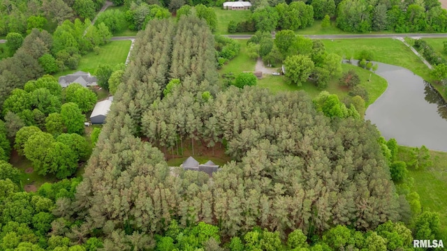 3972 Baptist Camp Rd, Carterville, IL 62918 - bird's eye view