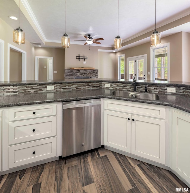 3972 Baptist Camp Rd, Carterville, IL 62918 - kitchen featuring stainless steel dishwasher, a sink, a tray ceiling, ceiling fan, and hanging light fixtures