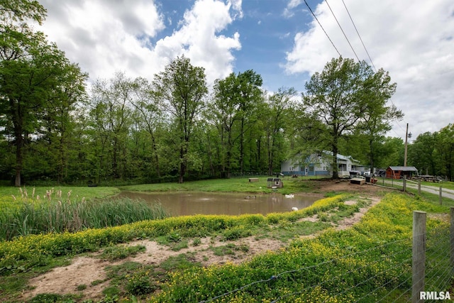 17503 N Woodlawn Ln, Woodlawn, IL 62898 - view of yard with a water view and fence