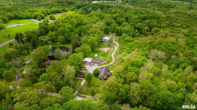 17503 N Woodlawn Ln, Woodlawn, IL 62898 - drone / aerial view of a heavily wooded area and a nearby body of water