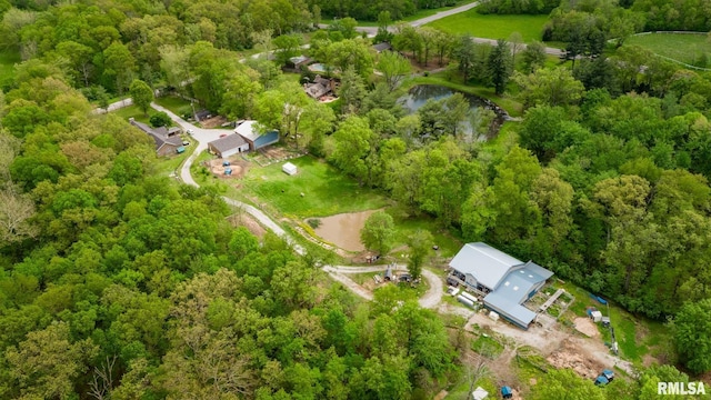 17503 N Woodlawn Ln, Woodlawn, IL 62898 - view of property location featuring a large body of water and a heavily wooded area