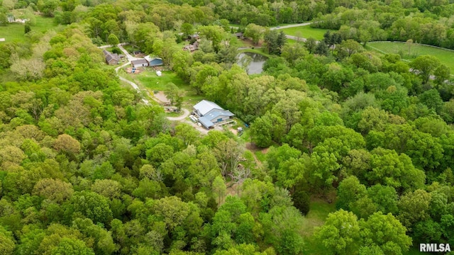 17503 N Woodlawn Ln, Woodlawn, IL 62898 - drone / aerial view of a heavily wooded area