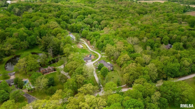 17503 N Woodlawn Ln, Woodlawn, IL 62898 - drone / aerial view of a forest and a nearby body of water