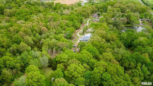 17503 N Woodlawn Ln, Woodlawn, IL 62898 - aerial view of property's location featuring a forest and a large body of water