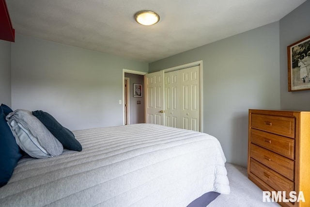 12 Old Marion Rd, West Frankfort, IL 62896 - bedroom with light colored carpet and a closet