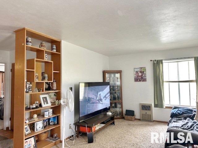 carpeted living room with heating unit