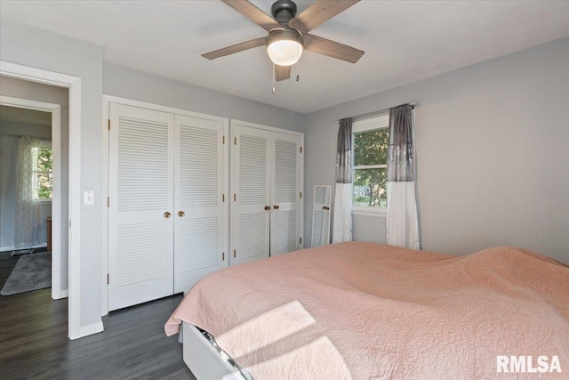 bedroom with dark wood finished floors, two closets, baseboards, and ceiling fan