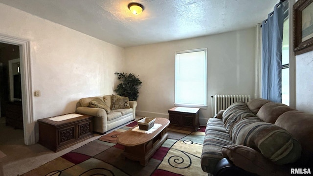 living room with radiator heating unit