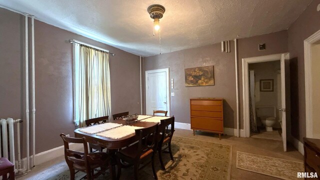dining area with radiator heating unit, baseboards, and light carpet