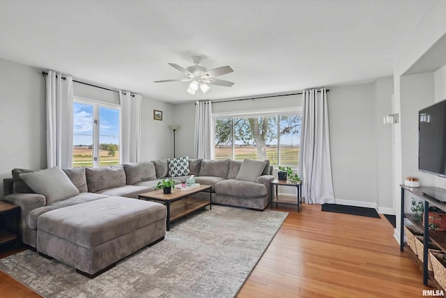 13218 300th St, Donahue, IA 52746 - living area featuring plenty of natural light, a ceiling fan, light wood-style flooring, and baseboards