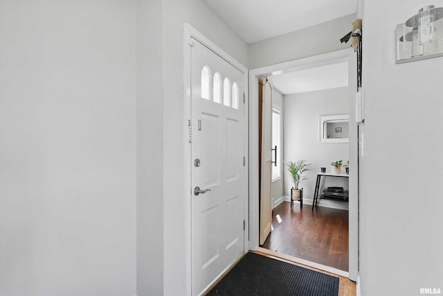 13218 300th St, Donahue, IA 52746 - foyer featuring wood finished floors and baseboards